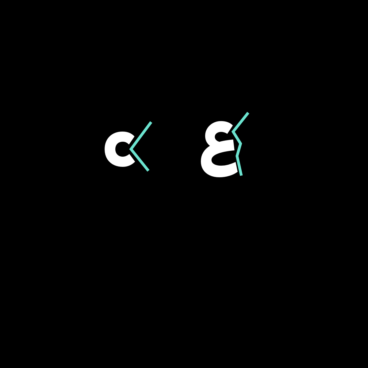 阿拉伯文与西文：开放的字腔