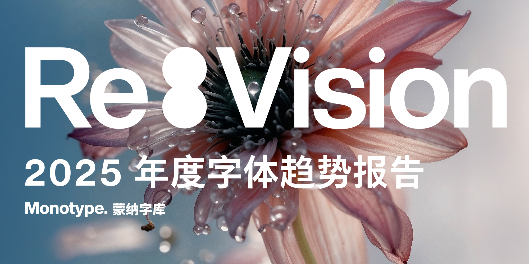 横幅海报 Type Trends Report 2025_2-1.jpg